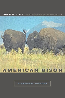 American Bison book