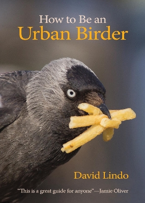 How to Be an Urban Birder book