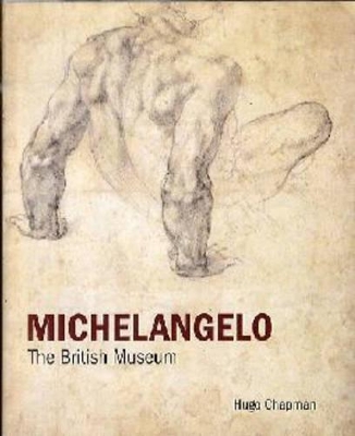 Michelangelo book