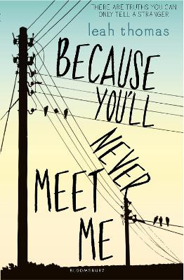 Because You'll Never Meet Me book