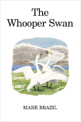 The Whooper Swan book