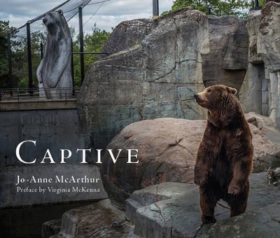 Captive book