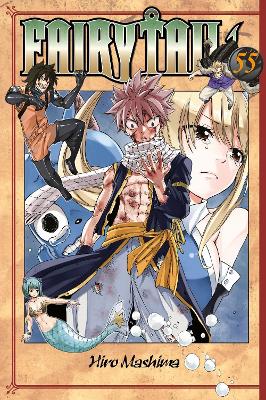 Fairy Tail 55 book
