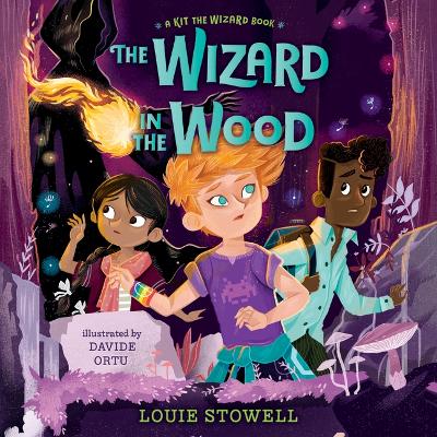 The Wizard in the Wood by Louie Stowell