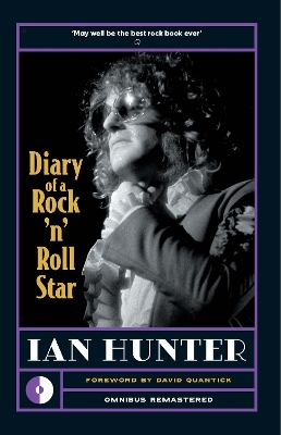 Diary of a Rock 'n' Roll Star book