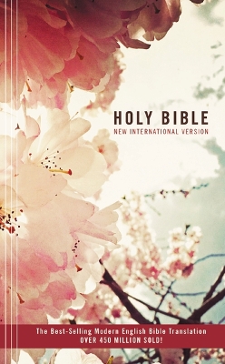 NIV, Holy Bible, Compact, Paperback by Zondervan Publishing