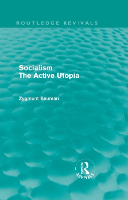 Socialism the Active Utopia book