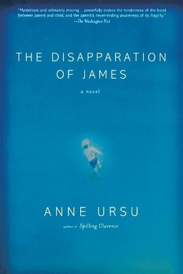 Disapparation of James book