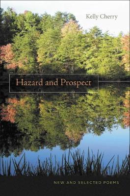 Hazard and Prospect book