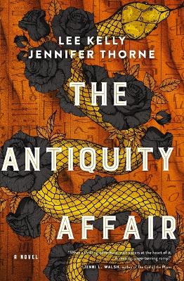 The Antiquity Affair: A Novel book