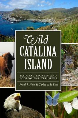 Wild Catalina Island by Frank J Hein