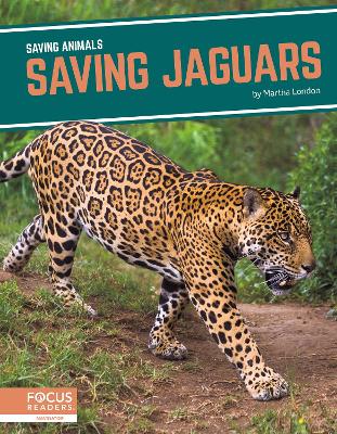 Saving Animals: Saving Jaguars by Martha London