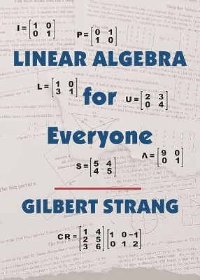 Linear Algebra for Everyone book