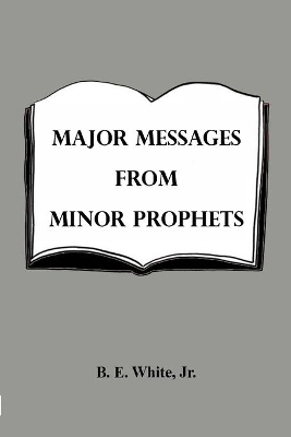 Major Messages from Minor Prophets book