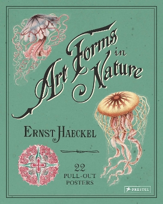 Ernst Haeckel: Art Forms in Nature: 22 Pull-Out Posters book
