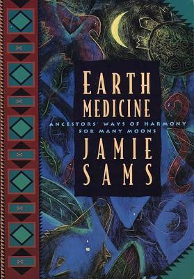 Earth Medicine book