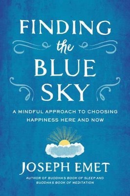 Finding the Blue Sky book