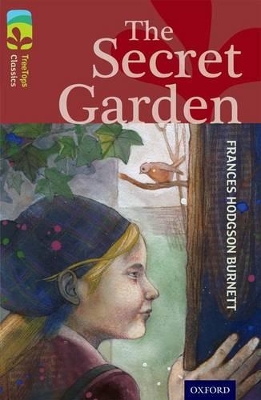 Oxford Reading Tree TreeTops Classics: Level 15: The Secret Garden book