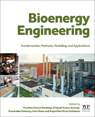 Bioenergy Engineering: Fundamentals, Methods, Modelling, and Applications book