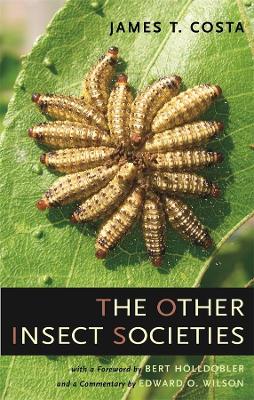 Other Insect Societies by Edward O. Wilson