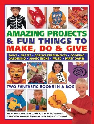 Amazing Projects & Fun Things to Make, Do, Play & Give book