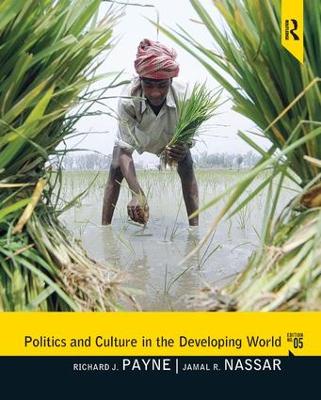 Politics and Culture in the Developing World book