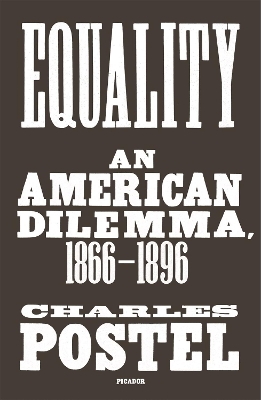 Equality: An American Dilemma, 1866-1896 book
