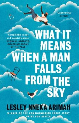 What It Means When A Man Falls From The Sky book