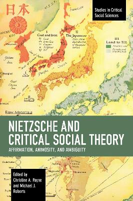 Nietzsche and Critical Social Theory: Affirmation, Animosity, and Ambiguity book