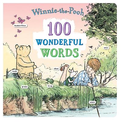 100 Wonderful Words: 100 Wonderful Words book