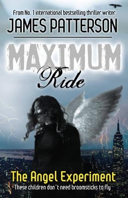Maximum Ride book