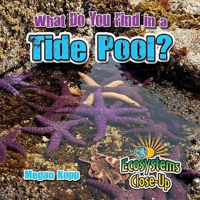 What Do You Find in a Tide Pool? by Megan Kopp