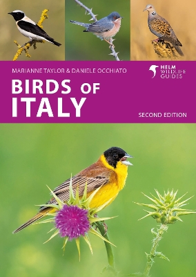 Birds of Italy book