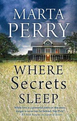 WHERE SECRETS SLEEP book