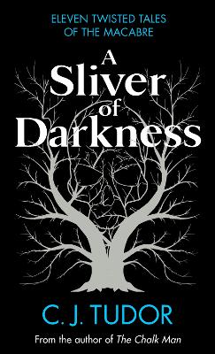 A Sliver of Darkness book