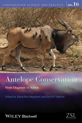 Antelope Conservation - From Diagnosis to Action by Jakob Bro-Jorgensen