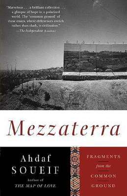 Mezzaterra: Fragments from the Common Ground book