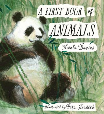 First Book of Animals book