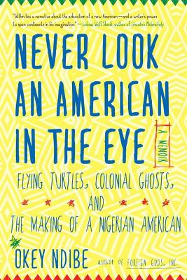 Never Look An American In The Eye by Okey Ndibe