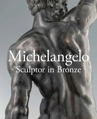 Michelangelo book