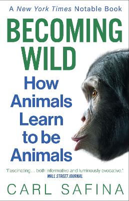 Becoming Wild: How Animals Learn to be Animals book