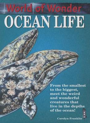 Ocean Life by Carolyn Franklin