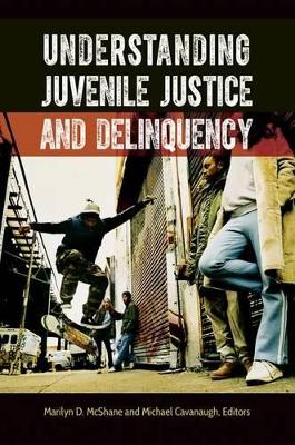 Understanding Juvenile Justice and Delinquency book