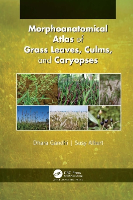 Morphoanatomical Atlas of Grass Leaves, Culms, and Caryopses by Dhara Gandhi