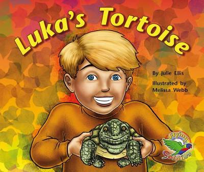 Luka's Tortoise book