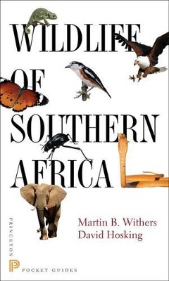 Wildlife of Southern Africa by David Hosking