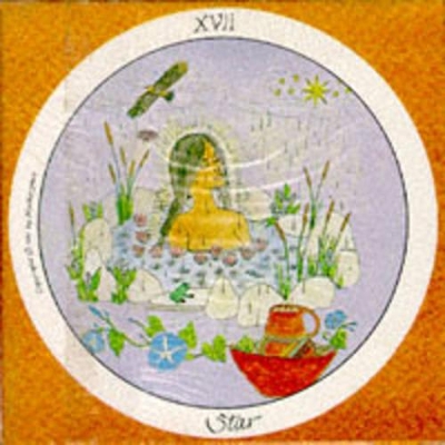 Motherpeace Round Tarot Deck book