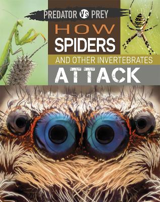 Predator vs Prey: How Spiders and other Invertebrates Attack by Tim Harris