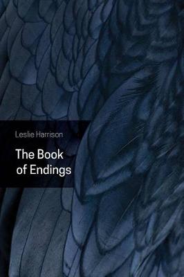 Book of Endings book