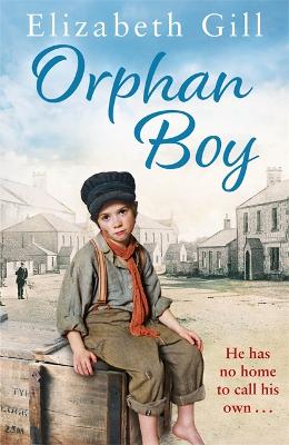 Orphan Boy book